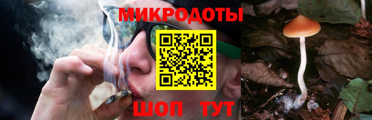 Псилоцибиновые грибы Magic Shrooms Великий Новгород