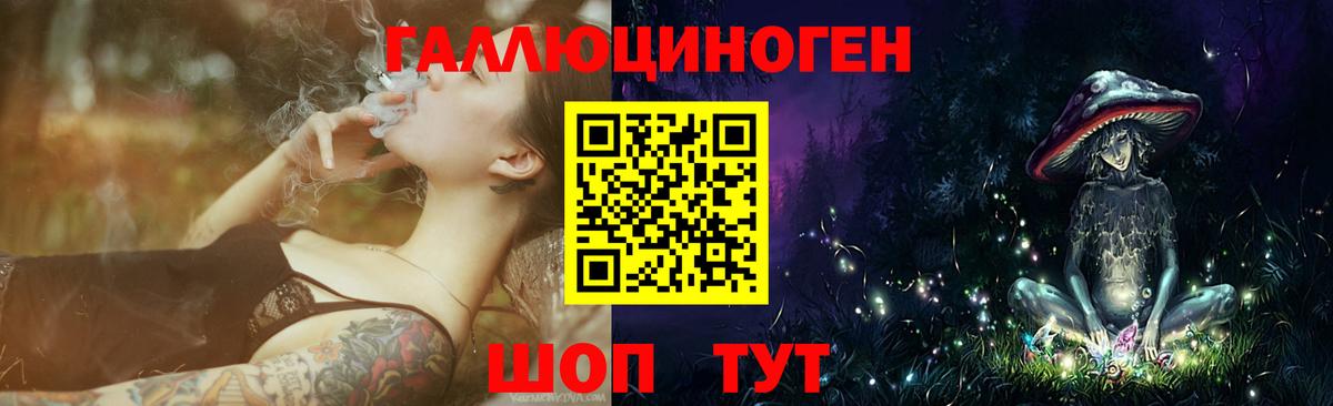 Псилоцибиновые грибы Psilocybe  Вход с VPN  Великий Новгород 