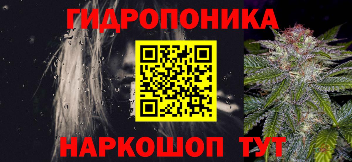 Канабис Bruce Banner Великий Новгород
